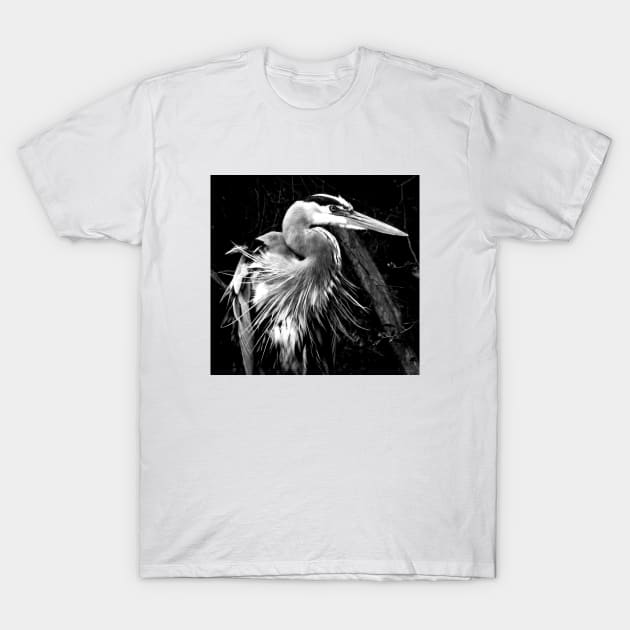 Heron T-Shirt by PhoToddGraphy